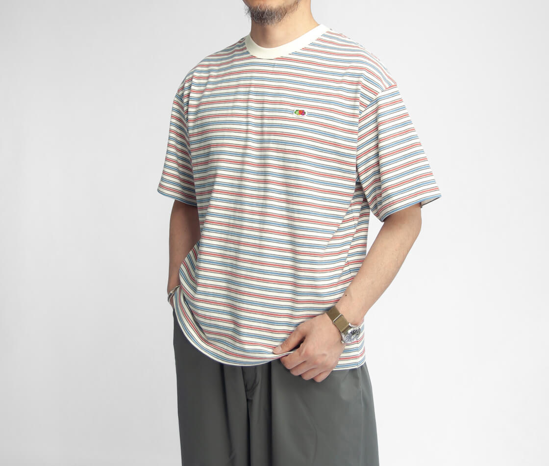 FRUIT OF THE LOOM フルーツオブザルーム ピーチ起毛天竺 ナローマルチボーダーTシャツ メンズ